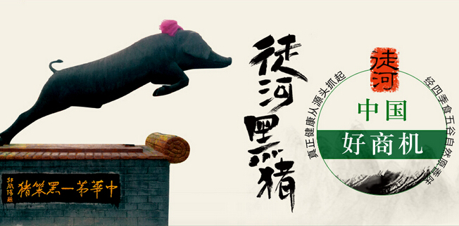 徒河黑豬加盟政策