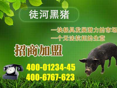 冷鮮肉招商加盟