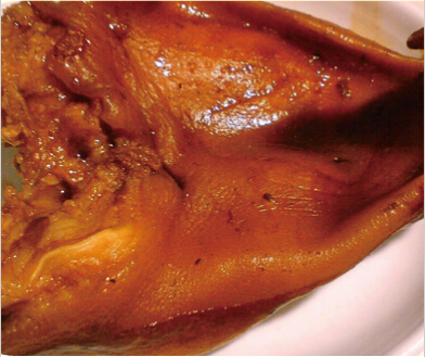 招商加盟好項(xiàng)目