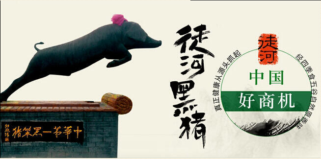 投資創(chuàng)業(yè)賺錢好項目