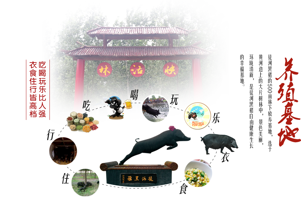 吃喝玩樂比人強(qiáng)，衣食住行皆高檔