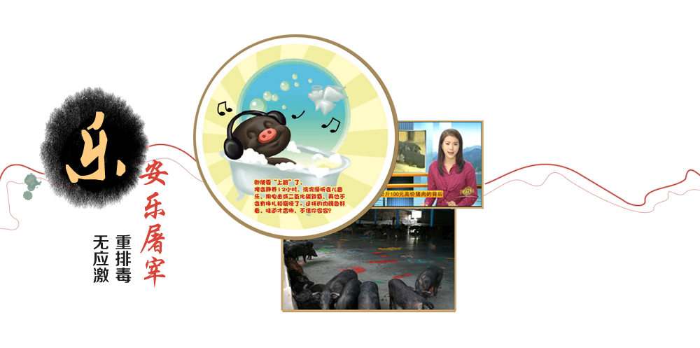 安樂屠宰無應(yīng)激重排毒