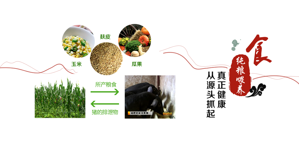 純良喂養(yǎng)，真正健康從源頭抓起